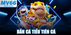 Bắn Cá Tiểu Tiên Cá