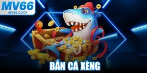 Bắn Cá Xèng