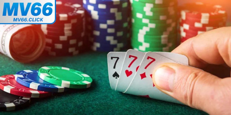 Cách chơi game bài Catte đơn giản đi kèm chiến thuật chuẩn chỉnh