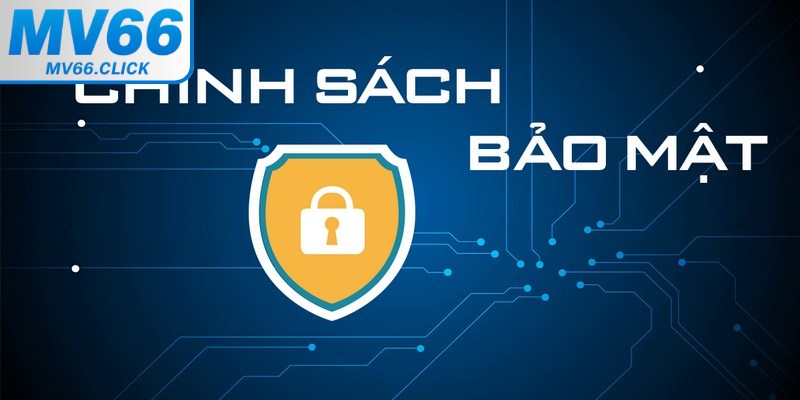 Chính sách bảo mật được xây dựng một cách tỉ mỉ và rõ ràng nhất