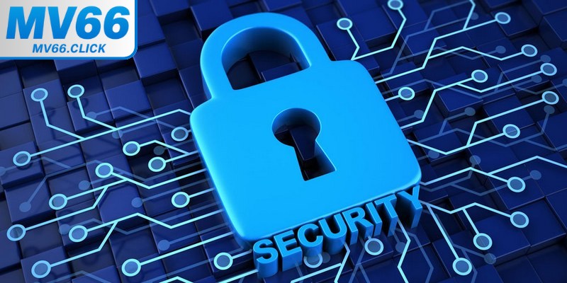 Quản lý thông tin luôn phải chặt chẽ, công khai, minh bạch