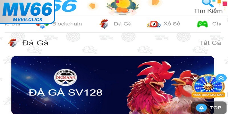 Đá gà MV66 đang nhận được rất nhiều sự quan tâm đến từ cộng đồng cược thủ