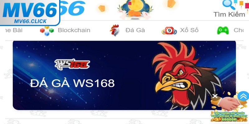 Chỉ cần làm theo 4 bước bên trên là bạn đã tham gia vào các trận đấu đá gà