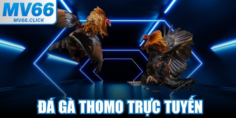 Đá Gà Thomo Trực Tuyến