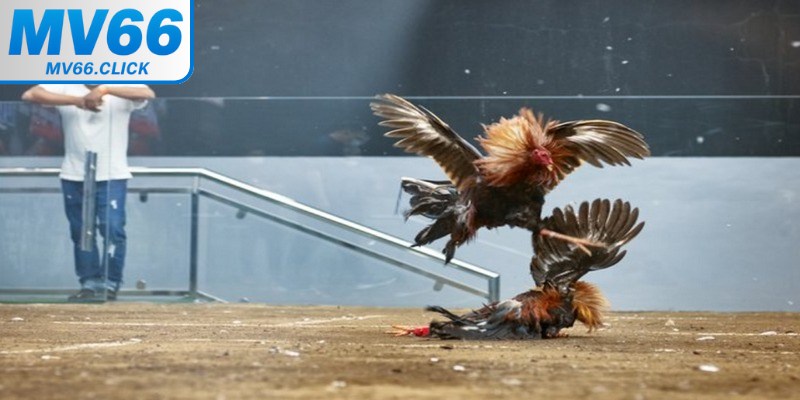 Đây chính là những công cụ có khả năng can thiệp vào hệ thống game
