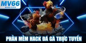 Phần Mềm Hack Đá Gà Trực Tuyến